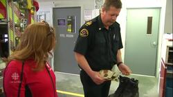 Prepping for wildfire season in B.C. amid climate change News Clip