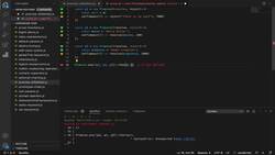 Quick JavaScript Crash Course - Modern and Advanced JavaScript - Promises-any-vs-race Instructional Video