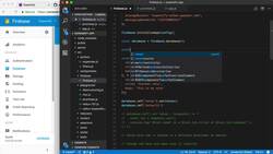 The Complete React Developer Course (with Hooks and Redux) - Array Data in Firebase: Part I Instructional Video
