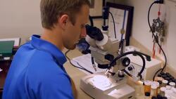 How to Get Rid of Bugs & Pests with Jeff White Instructional Video