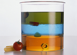 Calculating Density Instructional Video