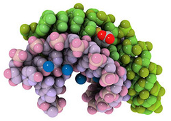 Peptide Instructional Video