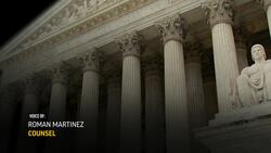 US phone proceedings trigger high court 'hiccups' Instructional Video