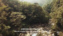 Duncan Lin Instructional Video