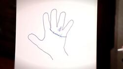 How to Recognize Warning Signs in Palm Reading Instructional Video