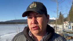 Over 1,300 Trumpeter Swans touch down in M'Clintock Bay, Yukon News Clip