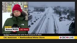 Avalon Peninsula hit with first blizzard of 2025 News Clip