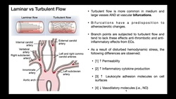 Atherosclerosis Mechanism EXPLAINED Instructional Video