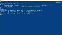 How to use the ls command: 2-Minute Linux Tips Instructional Video