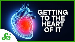 How Did We Figure Out What a Heart Attack Was? Instructional Video