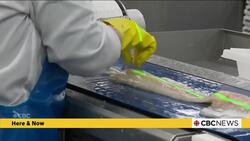 N.L. seafood industry to take a hit from Chinese tariffs against Canada News Clip