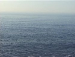 The Importance of Fresh Water Instructional Video