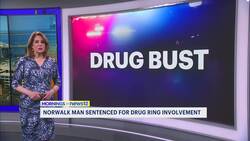 Drug ring member sentenced for Norwalk bust News Clip