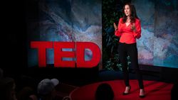 TED: 3 ways your money can fight climate change | Veronica Chau Instructional Video