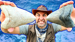 Shark Tooth Challenge! Digging for GIANT Megalodon Teeth! Part3 Instructional Video