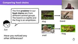 Comparing different food chains Instructional Video