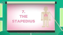 10 Body Parts You Never Knew Existed Instructional Video