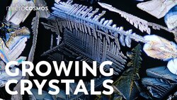 We Accidentally Grew Crystals Instructional Video