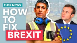 Why Brexit is Broken (and how Sunak could fix it) Instructional Video