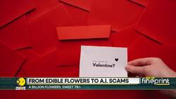 Scammers using AI to dupe the lonely looking for love News Clip