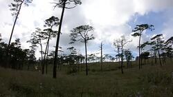 landscape silhouette at Phu Soi Dao national park Thailand Stock Footage