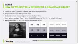 Create a computer vision system using decision tree algorithms to solve a real-world problem : What is an image and how is it digitally stored? Instructional Video