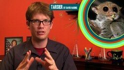 Wheezy Waiter on Movie Science, Mutant Flu Facts, and 2 Sounds You've Never Heard! Instructional Video