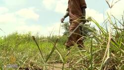 ECOWAS suspends Burkina Faso after military coup News Clip