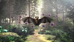 Covid likely jumped from bats at wildlife Instructional Video