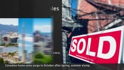 Home sales up 30% in Oct. from last year, but many buyers still priced out News Clip