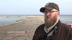 Overflowing Great Lakes threaten bird species News Clip