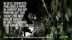 From Wombat Butts to Quantum Mechanics | SciShow Quiz Show Instructional Video