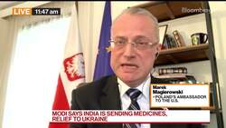 Polish Ambassador Doubts Diplomatic End to Ukraine War News Clip
