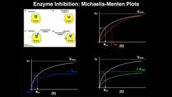 Enzyme Inhibitors | Mechanisms, Michaelis-Menten Plots, & Effects Instructional Video