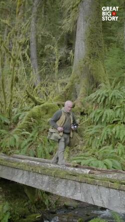The quest for silence, Gordon Hempton's mission in the Hoh Valley Instructional Video