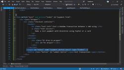 The Complete Guide to ASP.NET Core MVC (.NET 5) - Braintree UI and Js Instructional Video