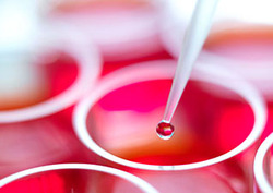 Amplification of DNA Instructional Video