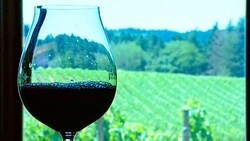 The Art of Blending Wines: From Barrel to Bottle Instructional Video