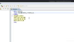Complete SAS Programming Guide - Learn SAS and Become a Data Ninja - Column Input Instructional Video