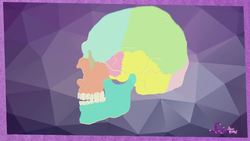 Use Your Brain! Instructional Video