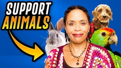 What Does an Emotional Support Animal Really Do? Instructional Video