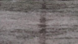 White House with flag at half mast News Clip