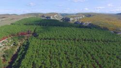 Human Impacts Instructional Video