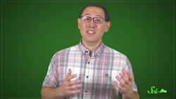 Most Metabolism Boosters Are BS Instructional Video