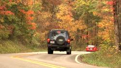 Finding Fall Colors Instructional Video
