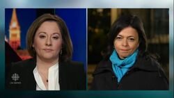 Theresa May pulls Brexit withdrawal vote, avoiding 'significant' defeat News Clip