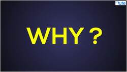 Why Flames Always Point Upwards (Except in Space) Instructional Video