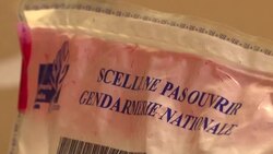 CLEAN : French police look to new DNA tech to solve "cold cases" News Clip