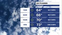 Sunny Saturday, with mild temperatures for Brooklyn News Clip