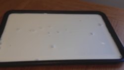 How to set up a magic milk experiment Instructional Video